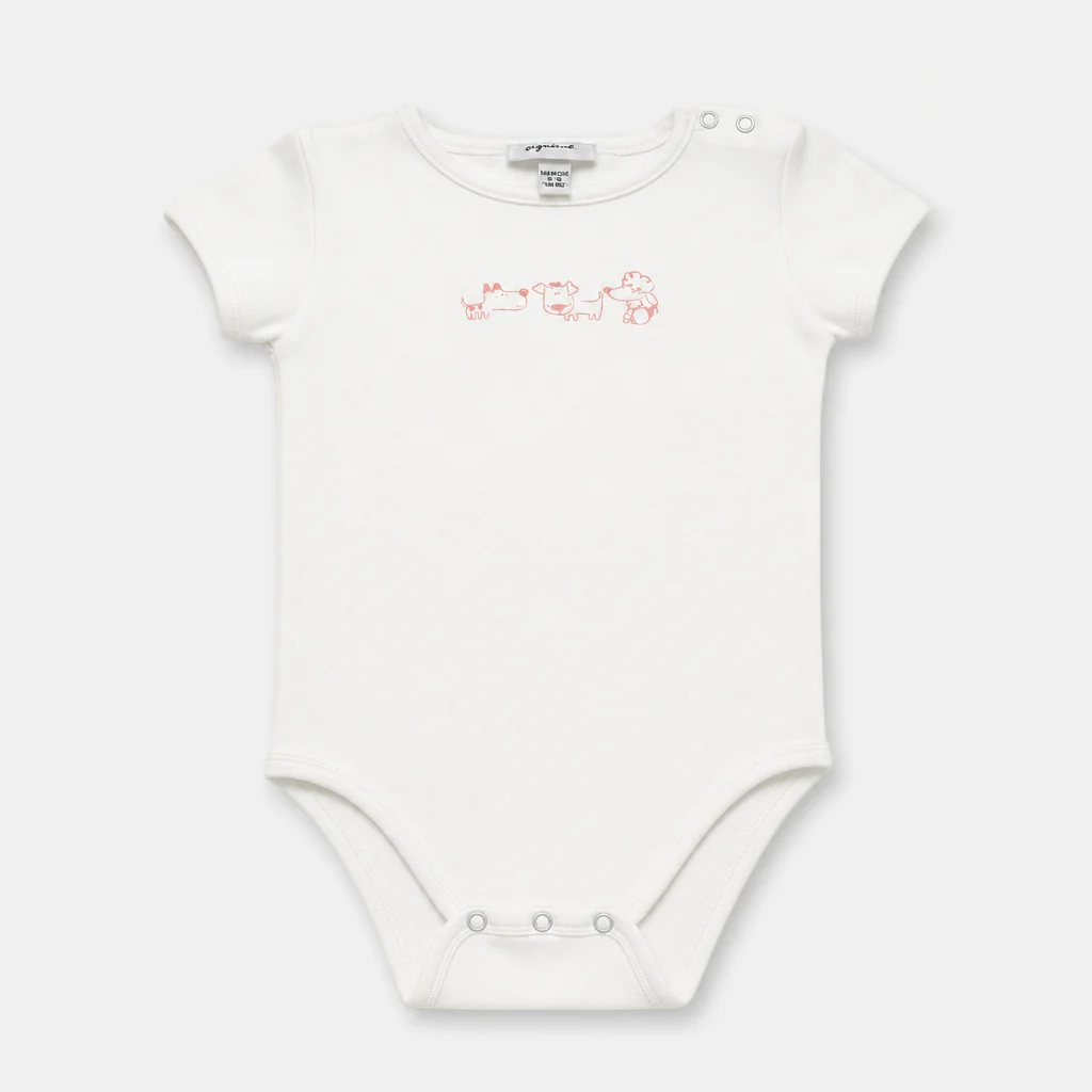 Body - Bambino - 60 - 65 | 3 mesi